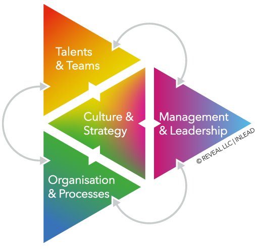INLEAD_ActivationModel_EN Inclusion & Diversity