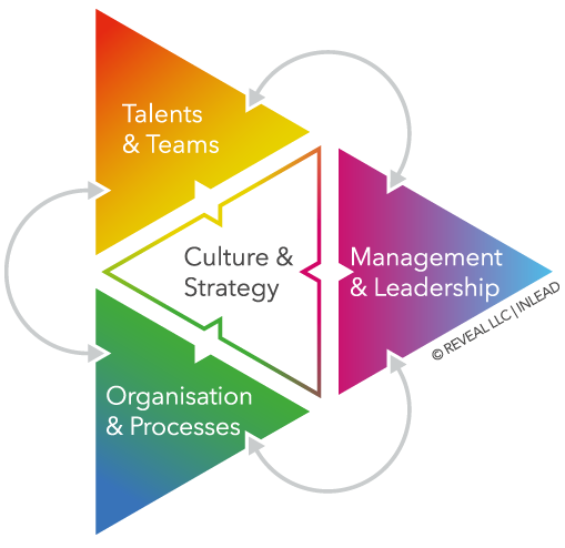 Inclusion & Diversity